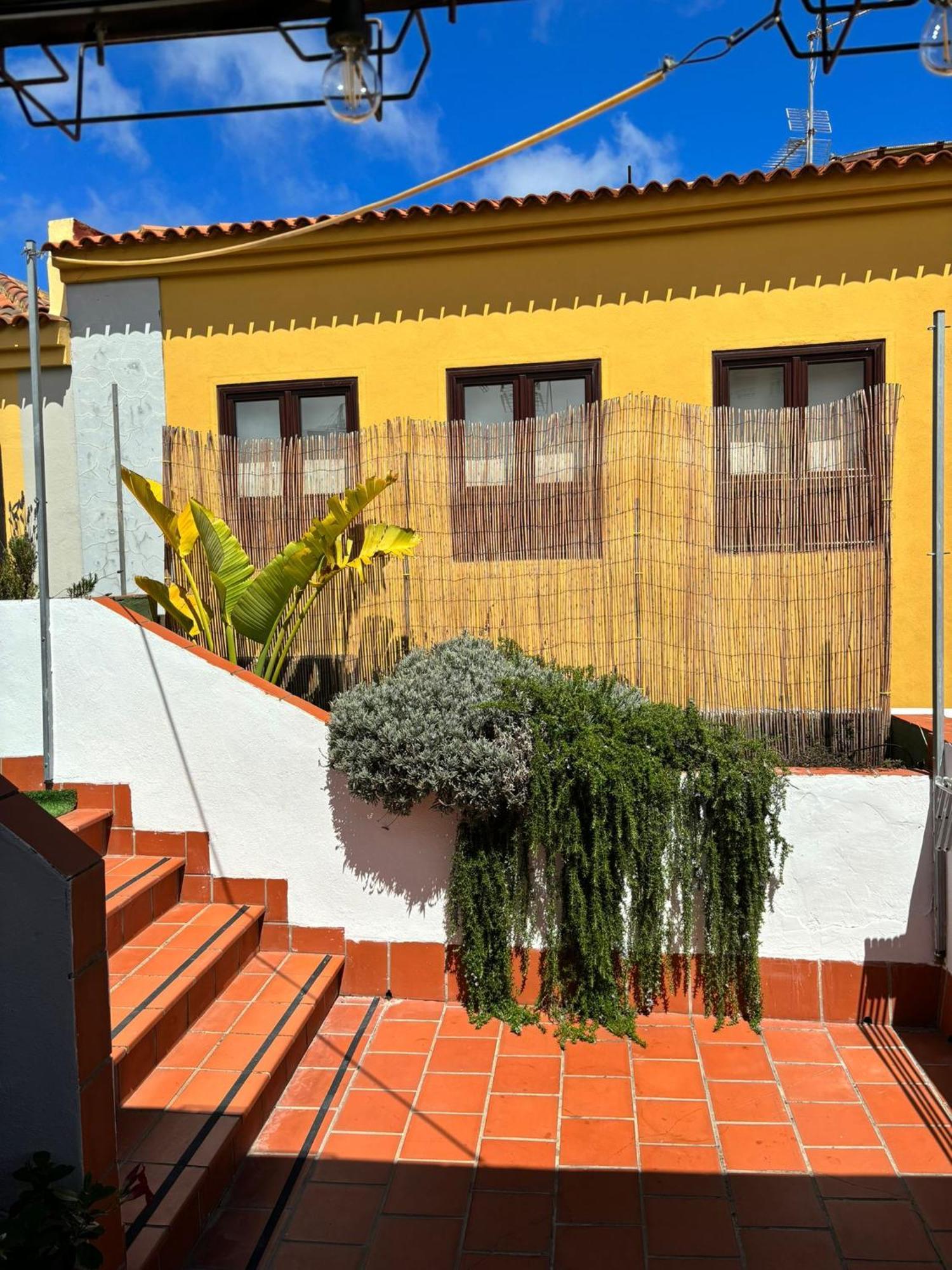 Апартаменты Agradable Casa Con Terraza Сан-Кристобаль-де-Ла-Лагуна Экстерьер фото